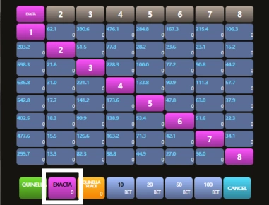 Exacta Bet